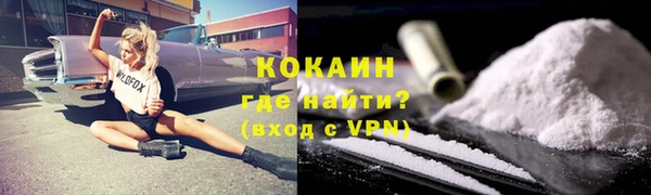стаф Надым