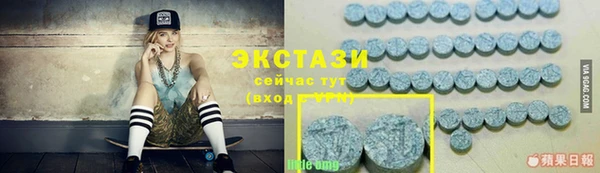 индика Армянск
