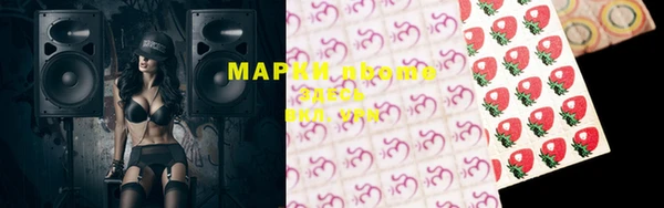 дмт Аркадак