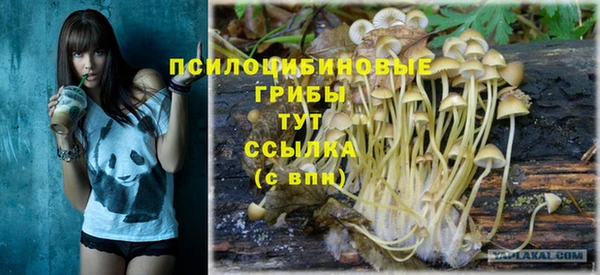 индика Армянск