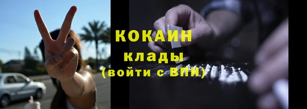 крисы Алексин