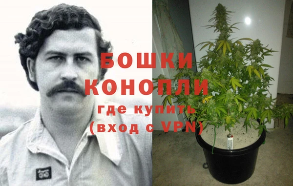 винт Арсеньев
