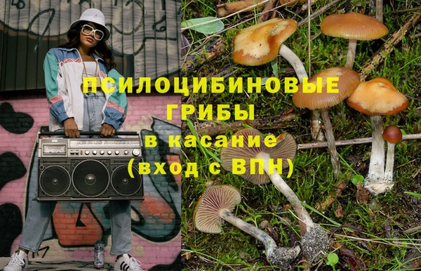 индика Армянск