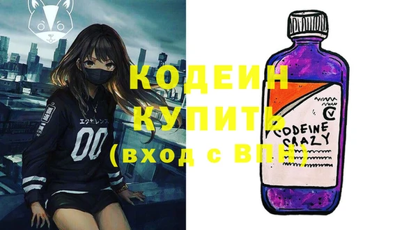 индика Армянск
