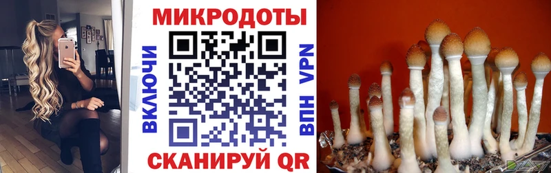 Псилоцибиновые грибы мухоморы  darknet клад  Салаир  что такое  